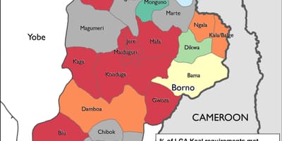 Žemėlapis šiaurės rytų nigerijoje