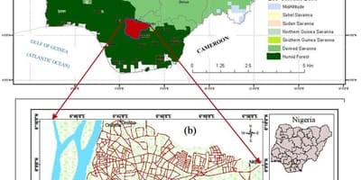 Žemėlapis nigerija, kuriame augalija diržai