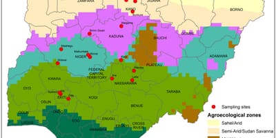 Žemėlapis nigerija, kuriame pasėlių pasiskirstymas