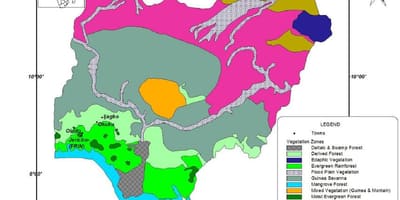Žemėlapis nigerija, kuriame augalija