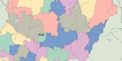 Žemėlapis nigerija vektorius